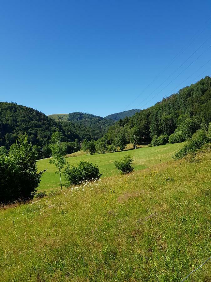 Wiesenblume Lägenhet Schönau im Schwarzwald Exteriör bild