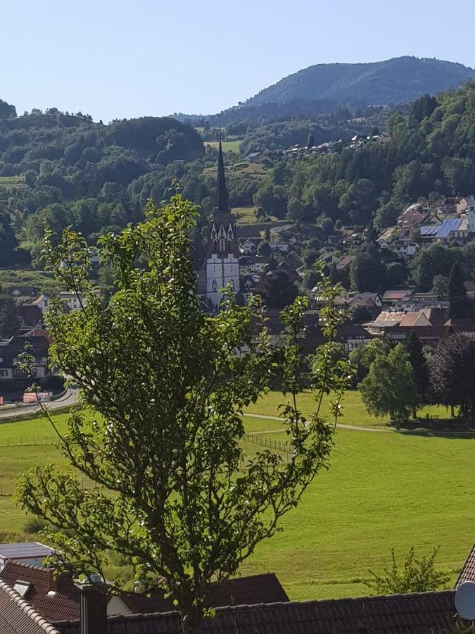 Wiesenblume Lägenhet Schönau im Schwarzwald Exteriör bild