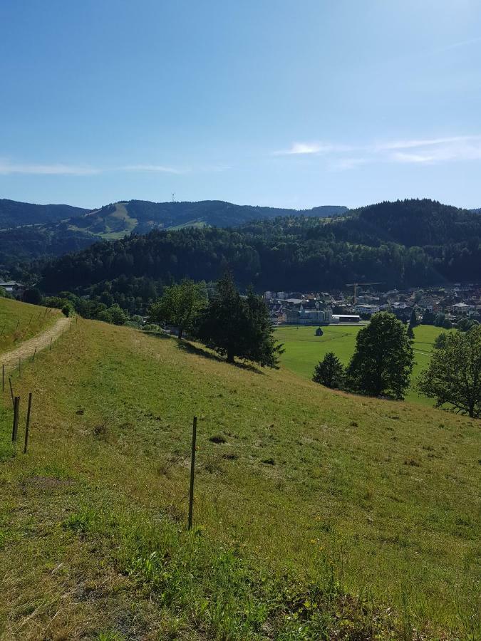 Wiesenblume Lägenhet Schönau im Schwarzwald Exteriör bild
